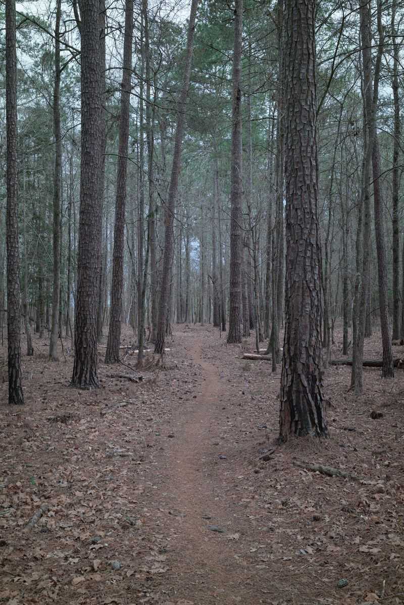 Keep Your Boots On Established Trails