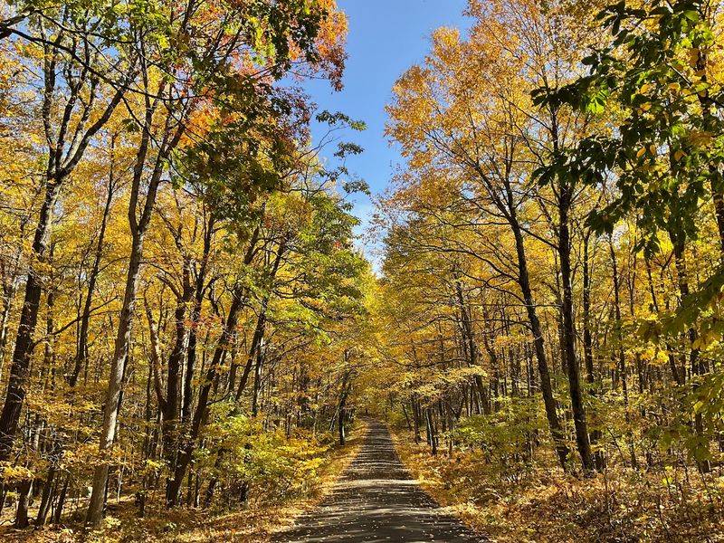 Stokes State Forest: Room to Roam