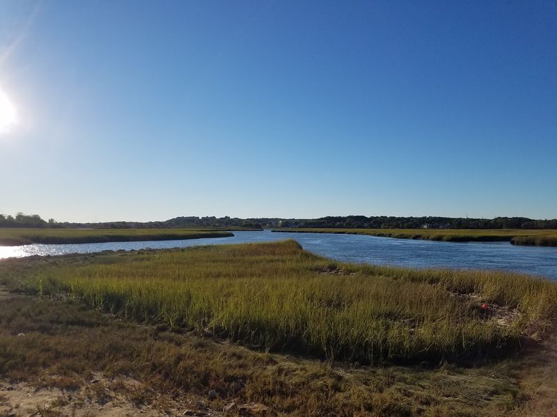 Rumney Marsh Reservation, Saugus