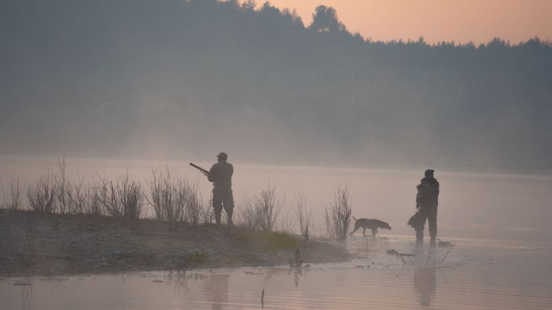 Know When Dog-Deer Hunts Are Scheduled