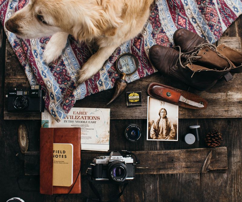 Check Records Before Each Cottage Trip