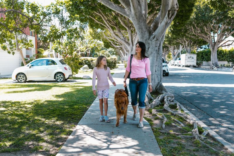 Neighborhood Sidewalks Become The Smarter Pick