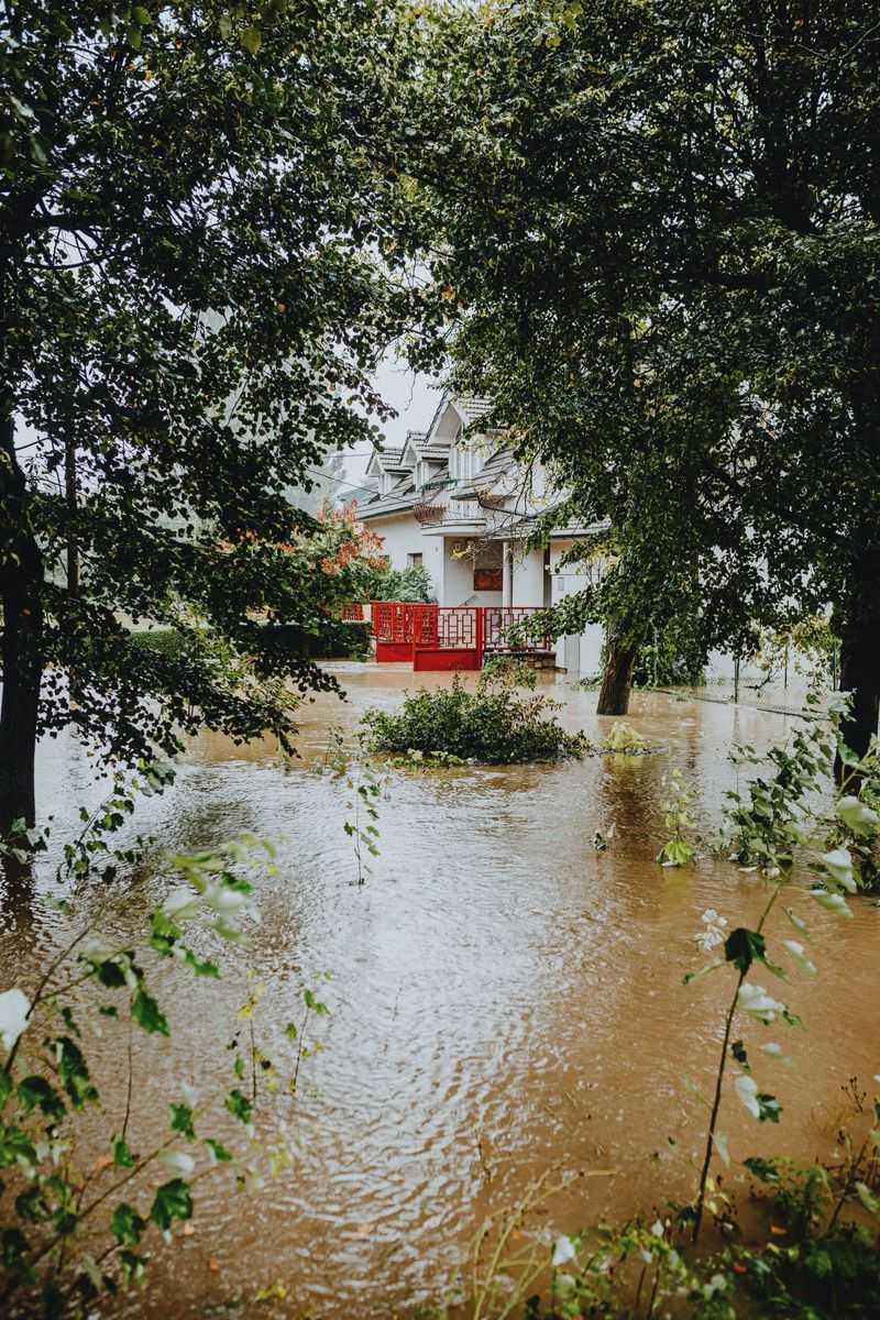 Septic Overflow and Sewage-Tainted Water