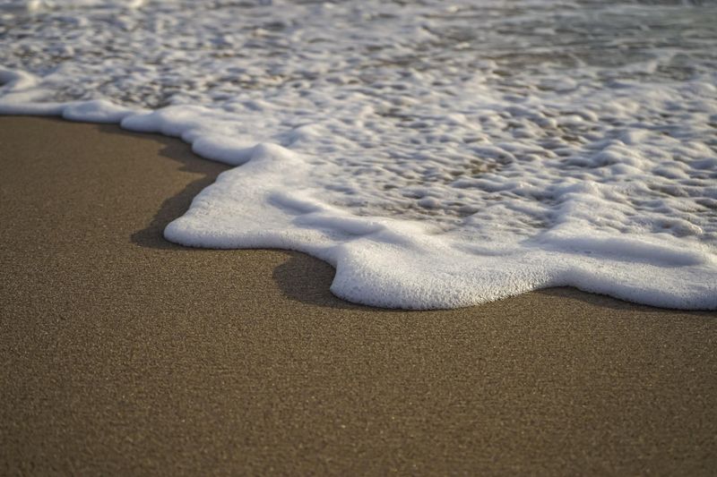 Sea Foam Concentrates What Is In The Water