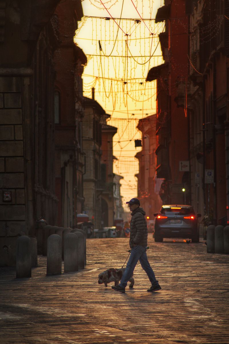 Dawn and Dusk Become Your Training Gold Hours