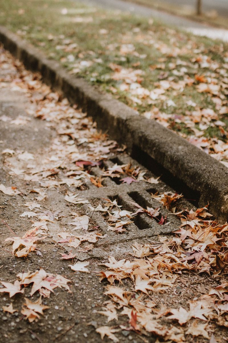 Open Storm-Drain Structures That Can Trap Dogs