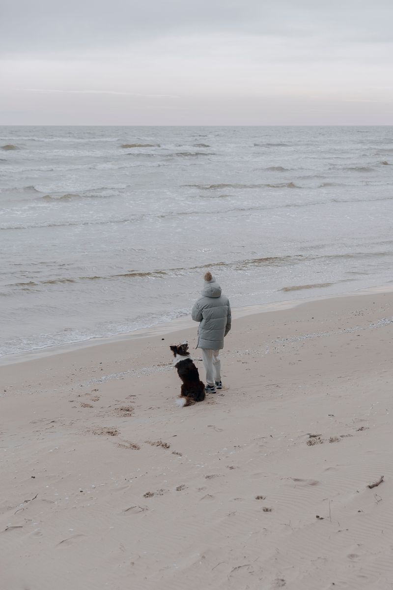 Off-Season Beach Access Can Be More Flexible