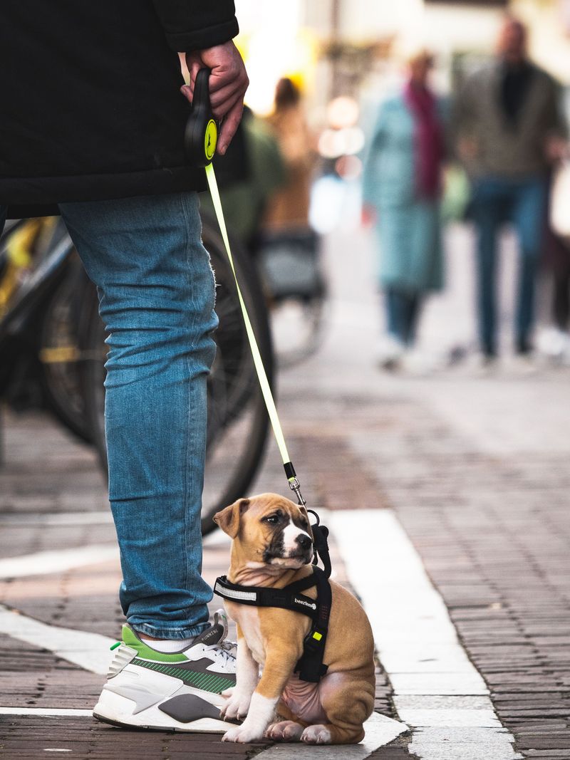 Sidewalk Traffic Steals Their Focus
