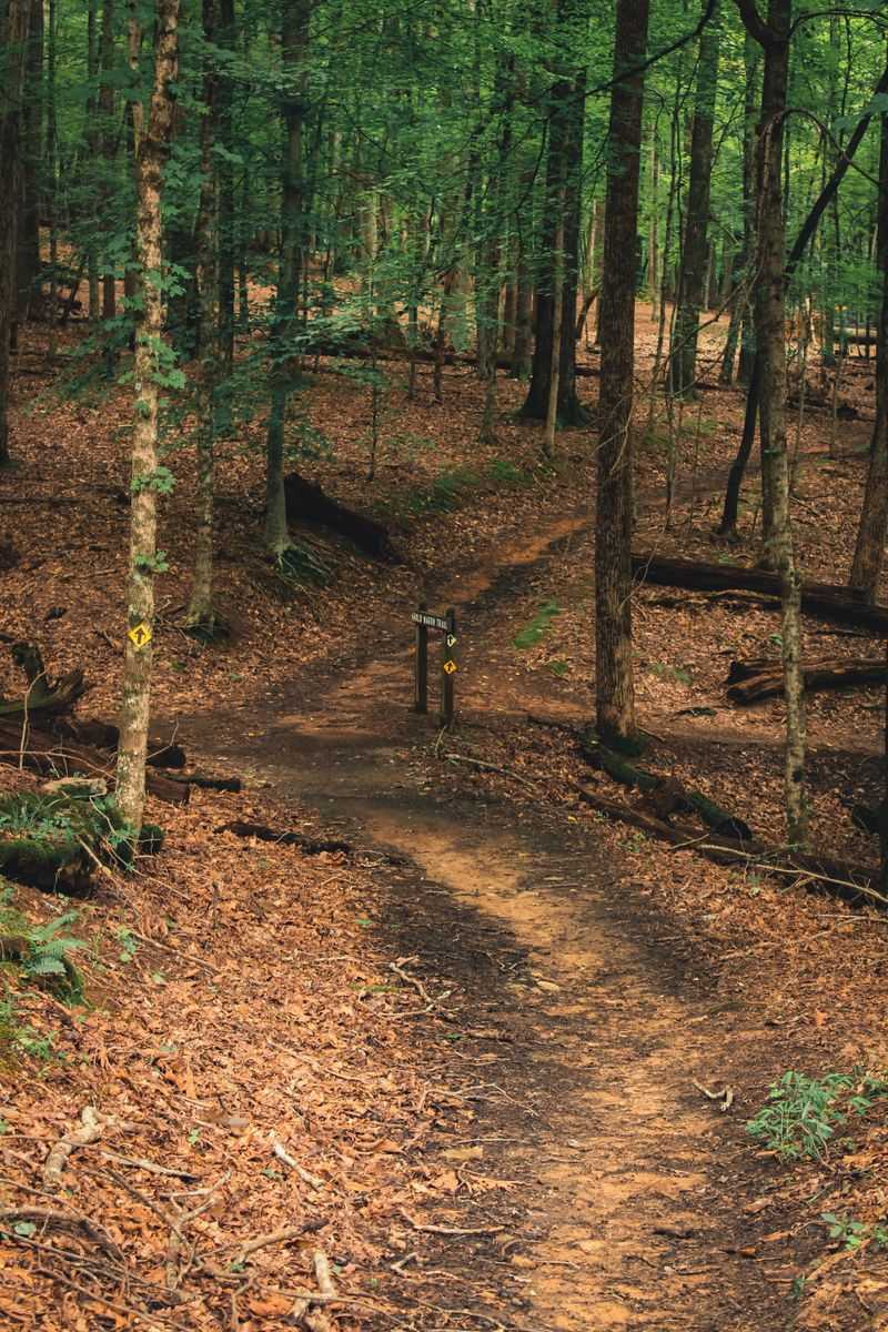 Stick To Marked Paths, Skip The Shortcuts