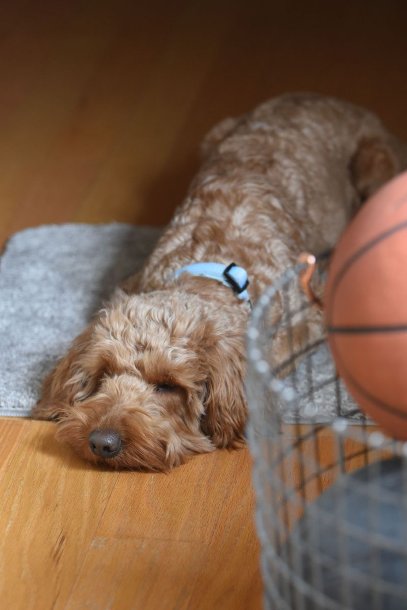 Rest Periods Between Activities