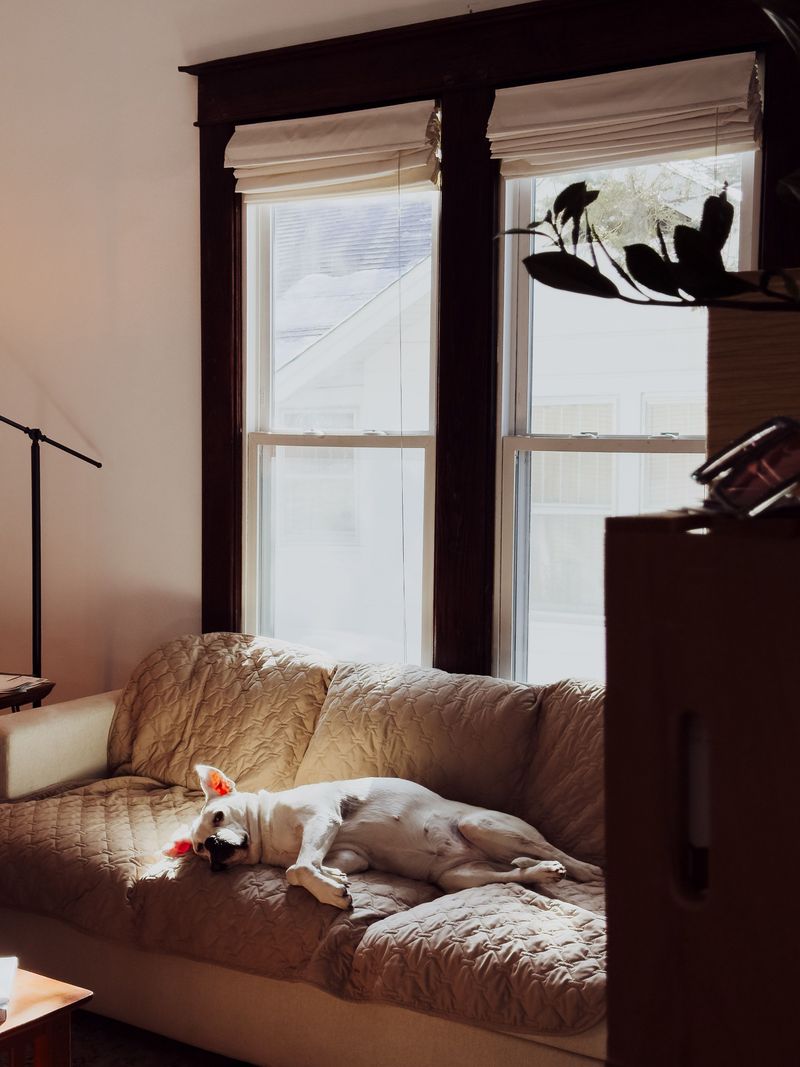 Draw the Curtains on Afternoon Glare