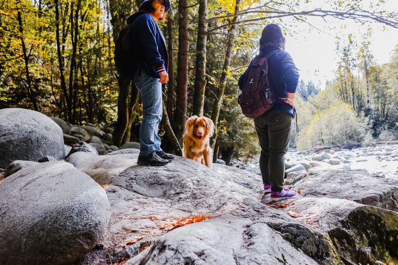 Keeping Dogs Safe Around Rocky Ozark Trails