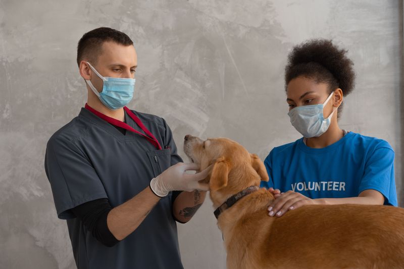 Rabies Rules Can Add Restrictions
