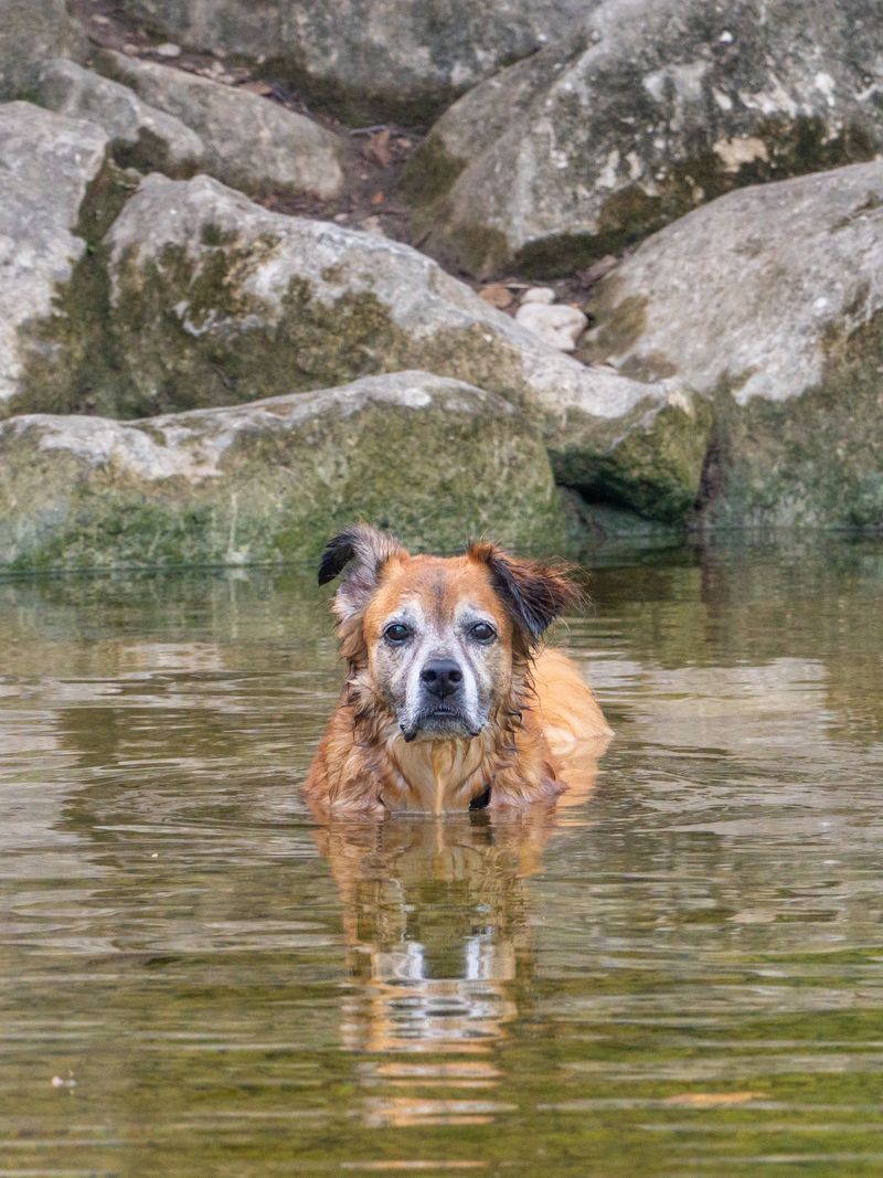 Supervise Splashes at Ponds and Stock Tanks