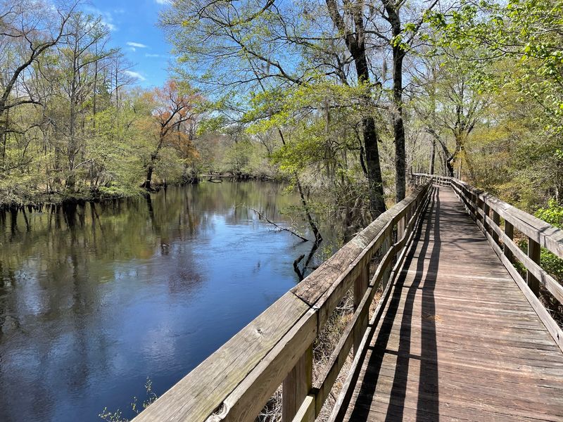 Fair Bluff River Walk