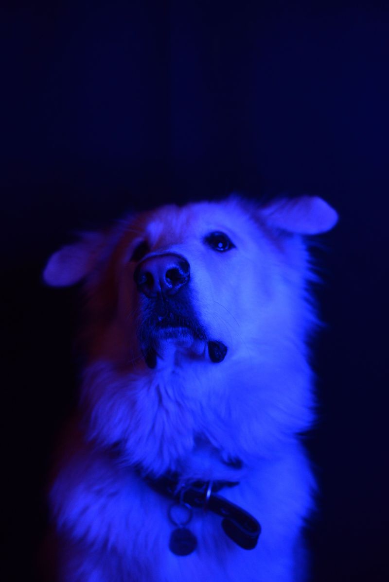 Lights Out, Exits Hidden