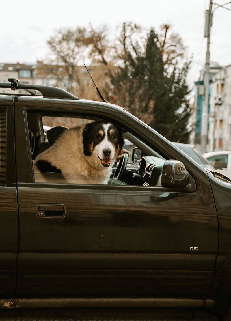 Not Every Parked-Car Moment Is a Crime
