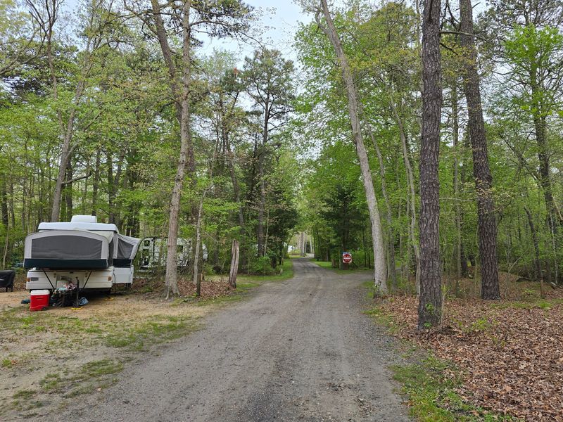 Butterfly Camping Resort: Take the Scenic Route