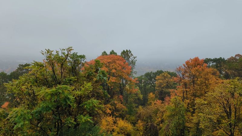 Rockingham State Historic Site: A Peaceful Chapter