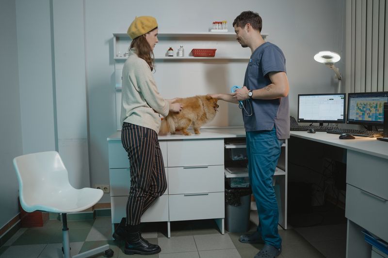 Rebuild Your Vet And Emergency Contact List