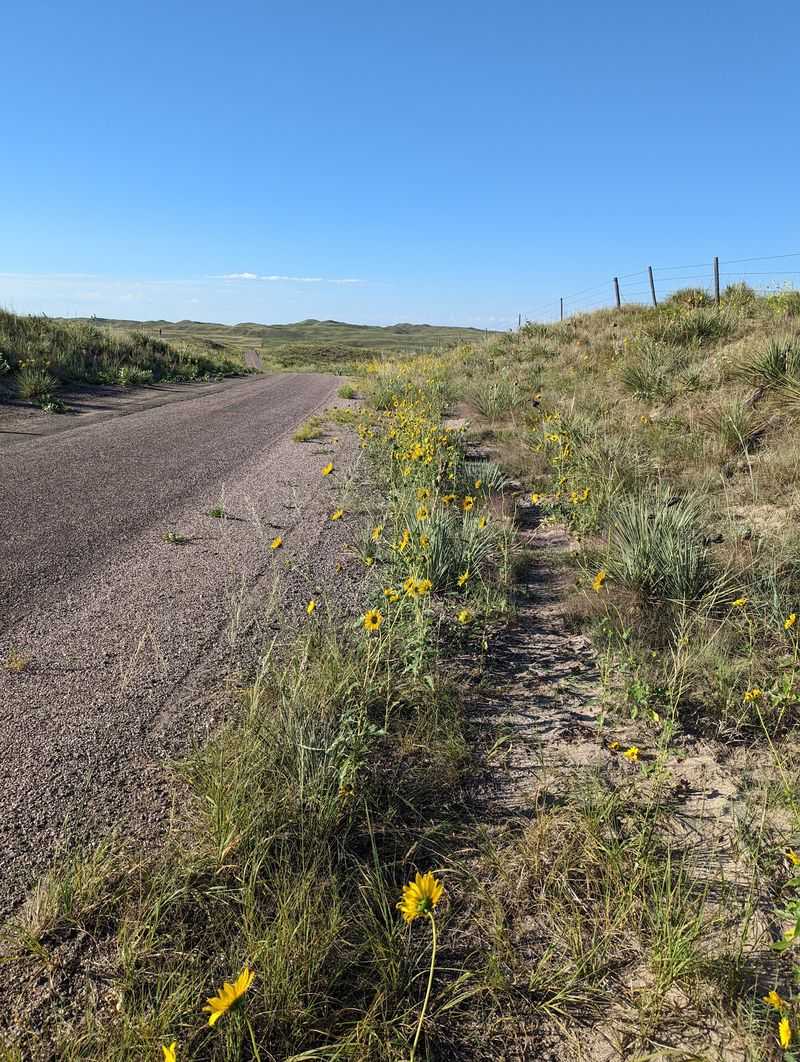 Mullen to Nenzel and Samuel R. McKelvie National Forest