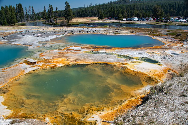 Keep Paws Out Of Thermal Springs And Pools