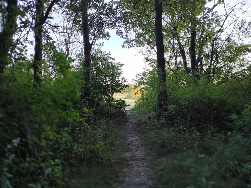 Tinley Creek Trail System, Cook County