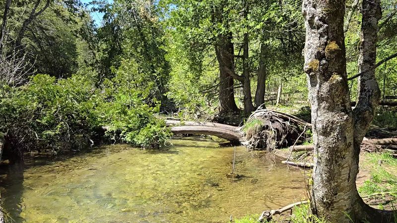 Heins Creek Nature Preserve