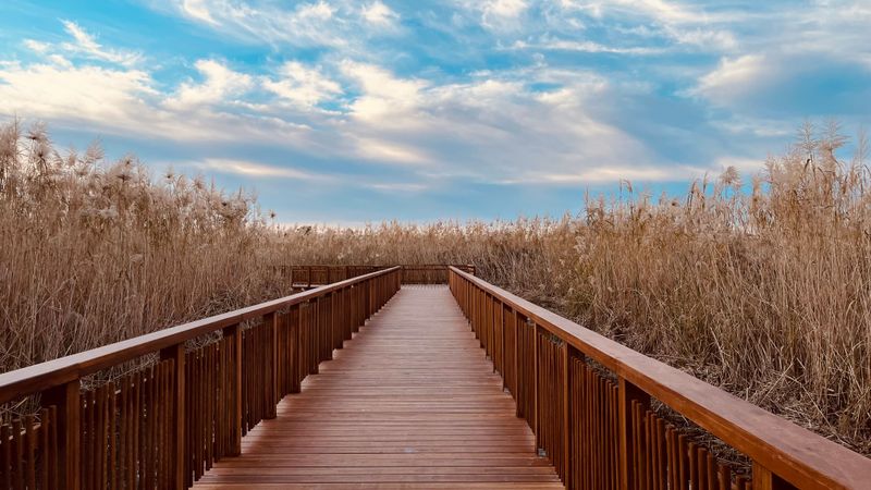 Heat Can Build Quickly On Exposed Marsh Paths