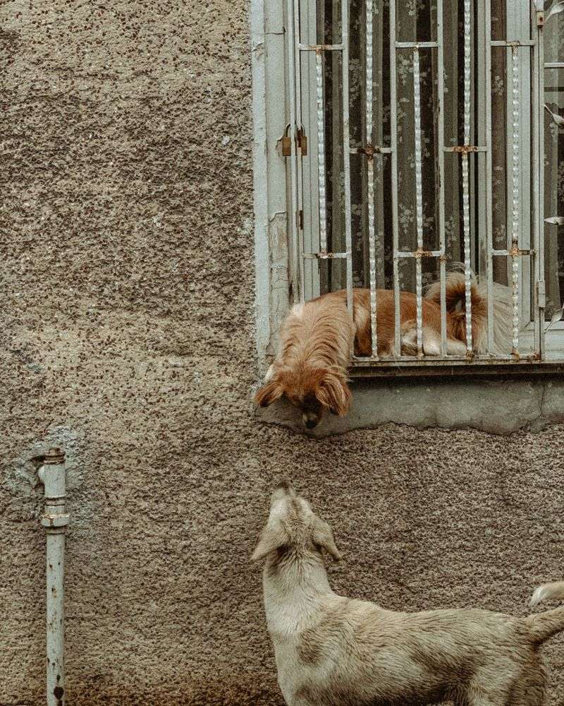 Neighbors Move Much Closer