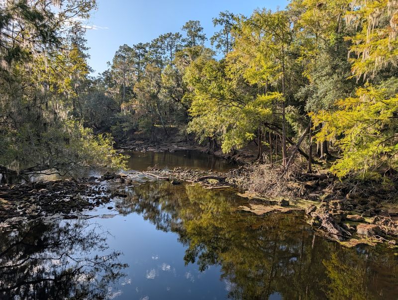 Vanishing River at O'Leno State Park