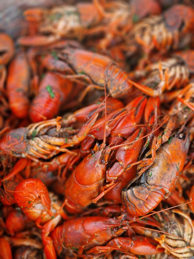 Louisiana Heat Can Make Outdoor Scraps Spoil Quickly