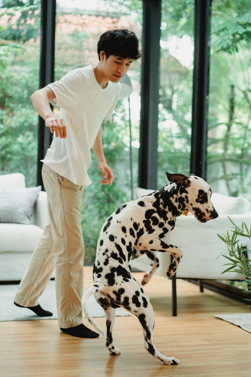 Build A Living Room Obstacle Course