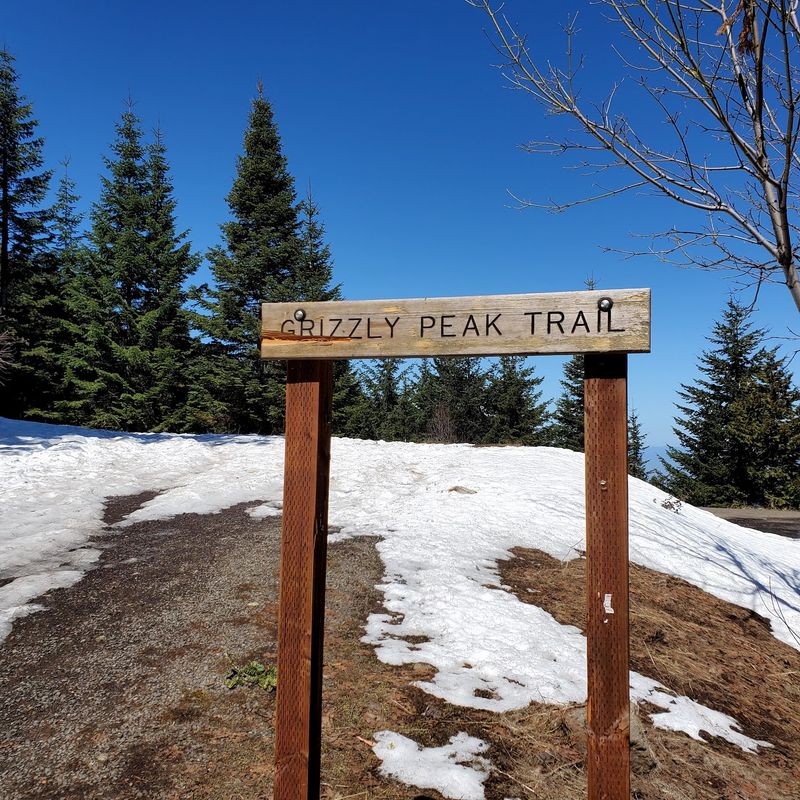 Grizzly Peak Trail