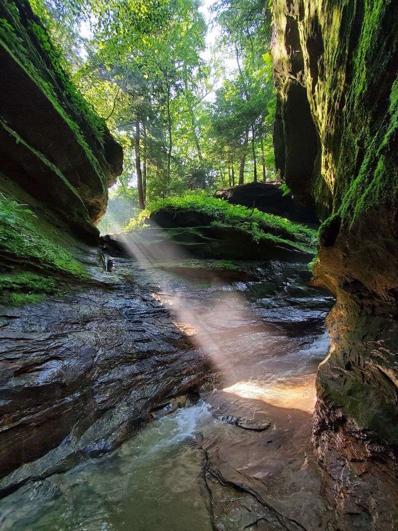 Turkey Run State Park Trail 6, Deep Canyon