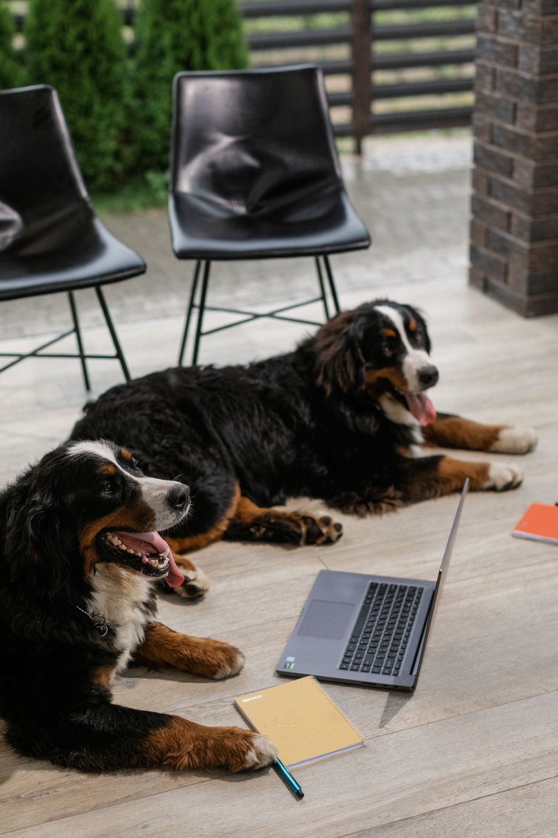 Keep One Record Set Ready For Each Home