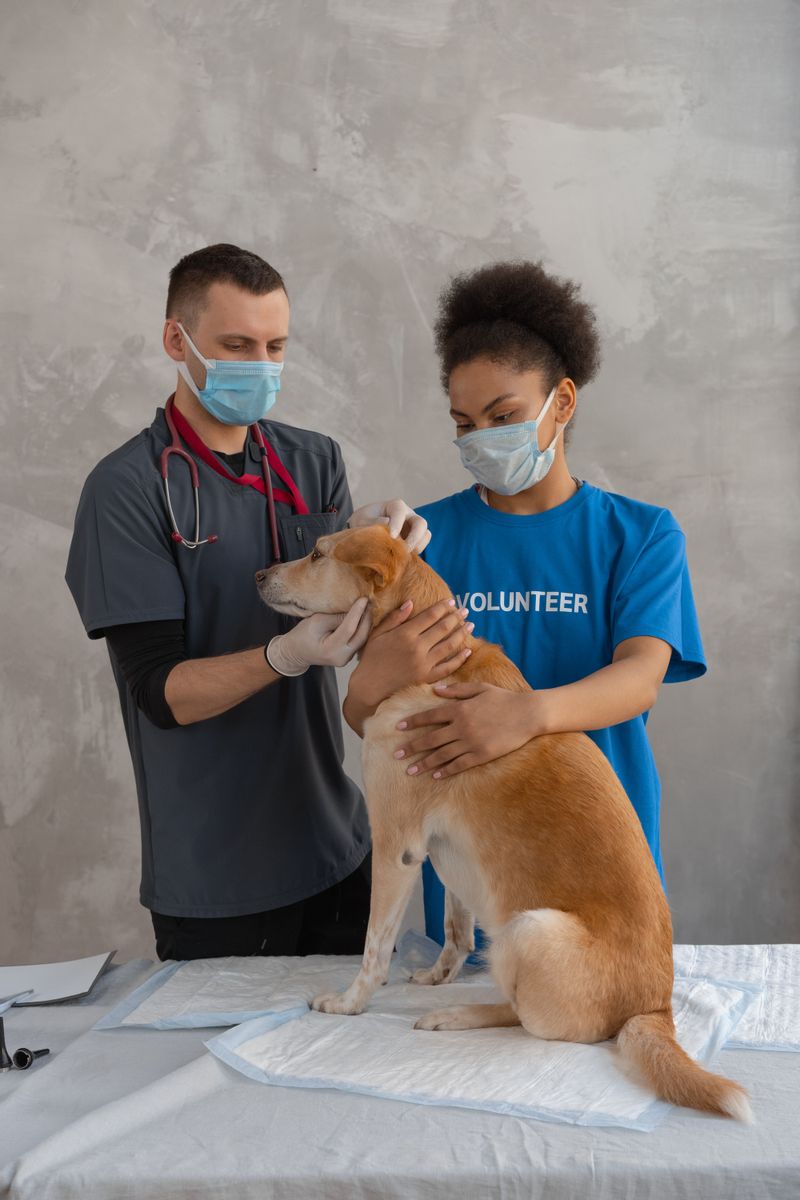 Bring Sterilization Proof To Lower The Fee