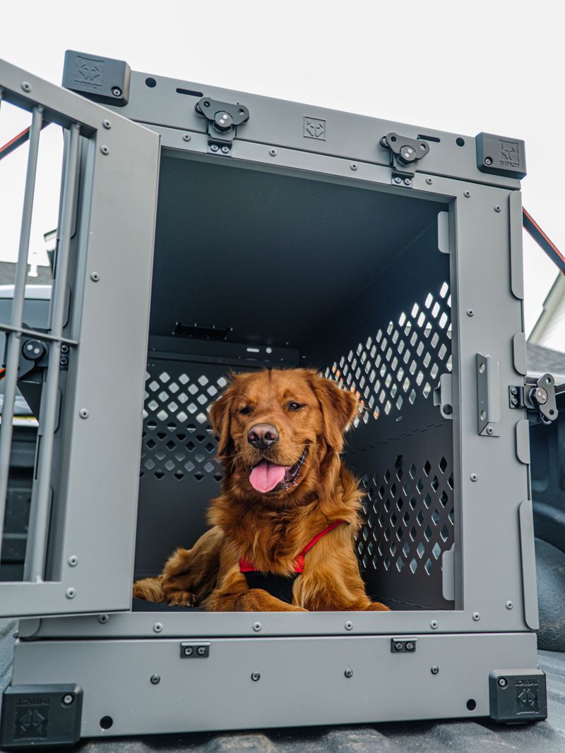 Keep Leashes And Carriers Ready