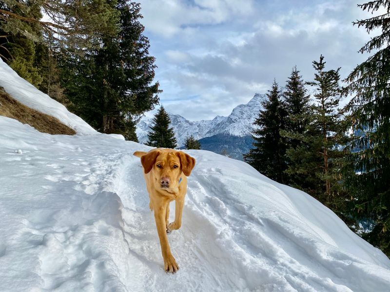 Quick Potty Trips Get Shorter On Slopes