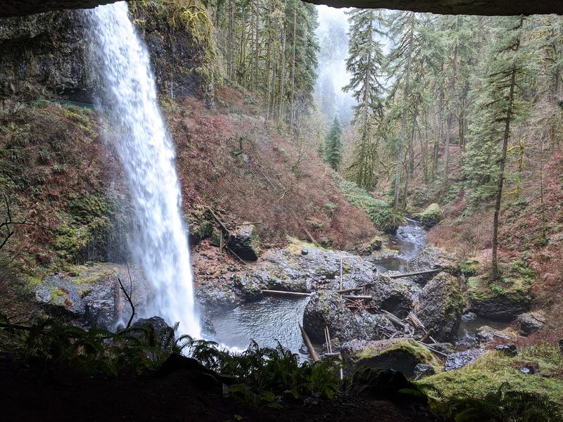 Buck Mountain Trail, Silver Falls State Park