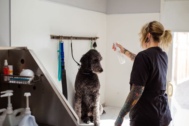 Urban Pet Services Sit Minutes Away