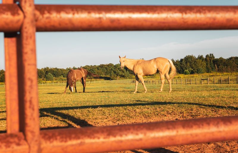 Respect Private Farms and Fences
