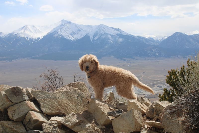 Above 8,000 Feet, Raise Your Caution Level
