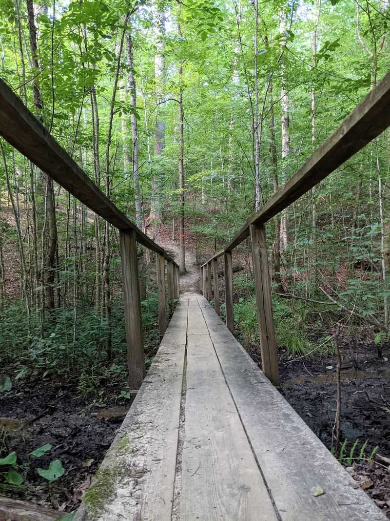 Bassett Trace Nature Trail at Colonial Williamsburg, Williamsburg