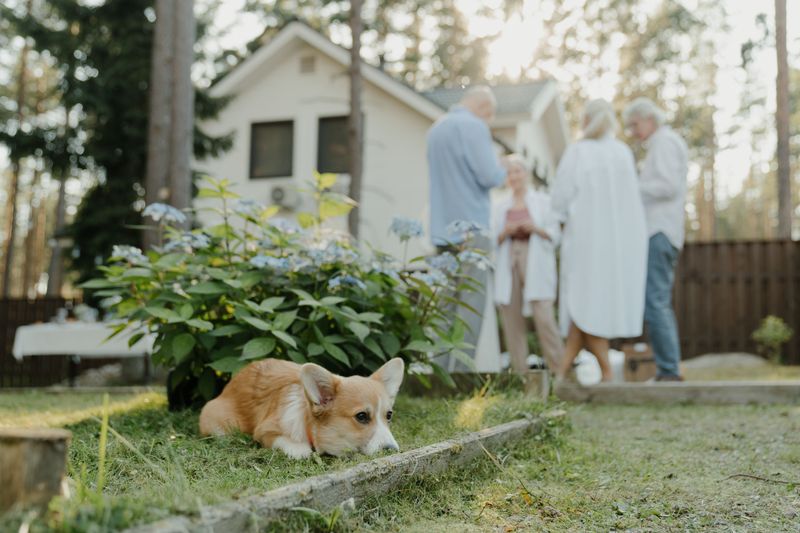 Settling During Busy Gatherings