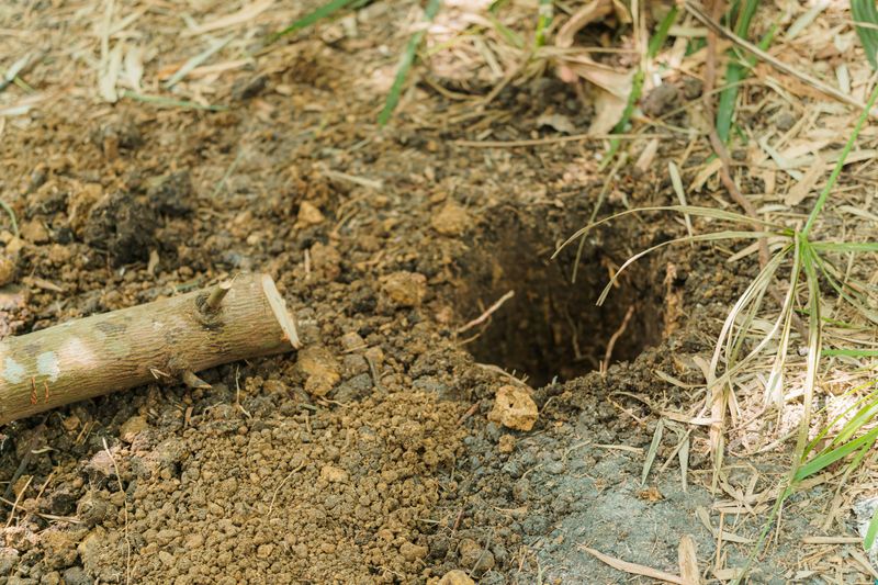 Hidden Holes In Saturated Ground