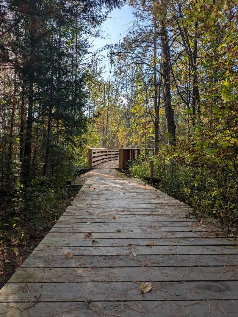 Crossroads at Big Creek
