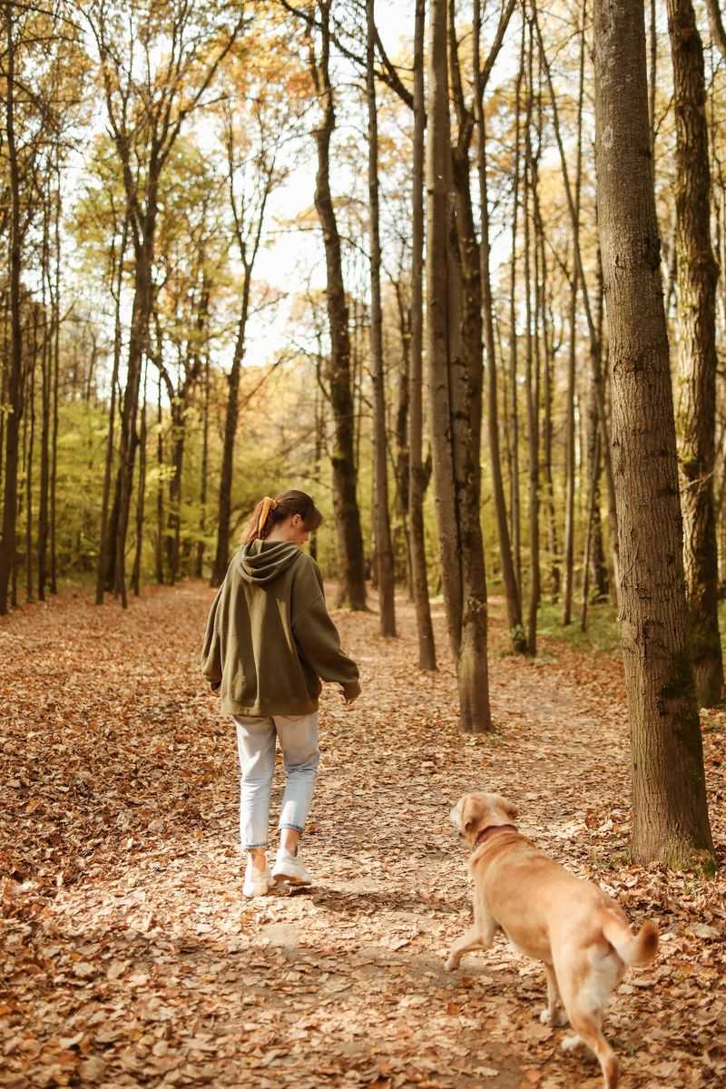 Watch For Changes In Your Dog
