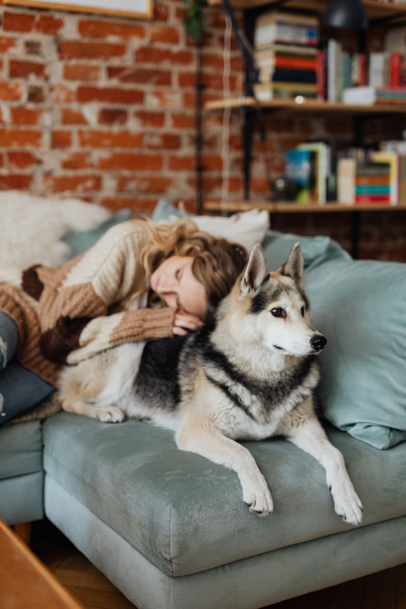 Pay Attention To Changes In Your Dog