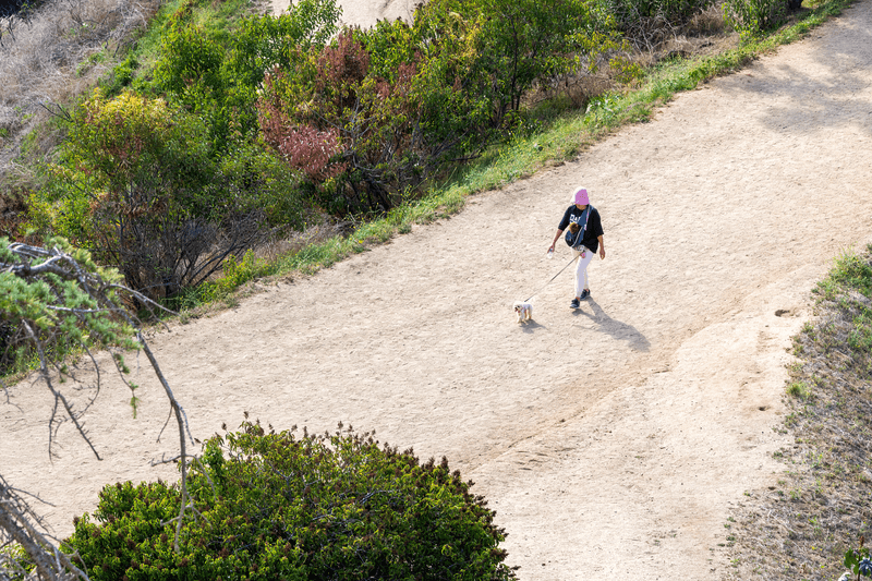 Keep Your Dog On A Short Leash